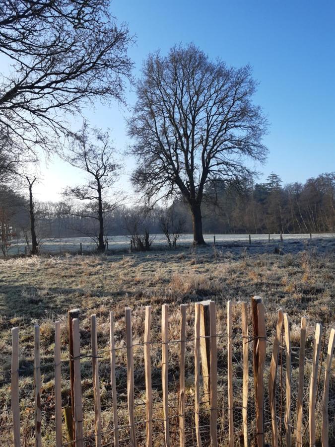 B & B Twijfelveld Assen Eksteriør billede