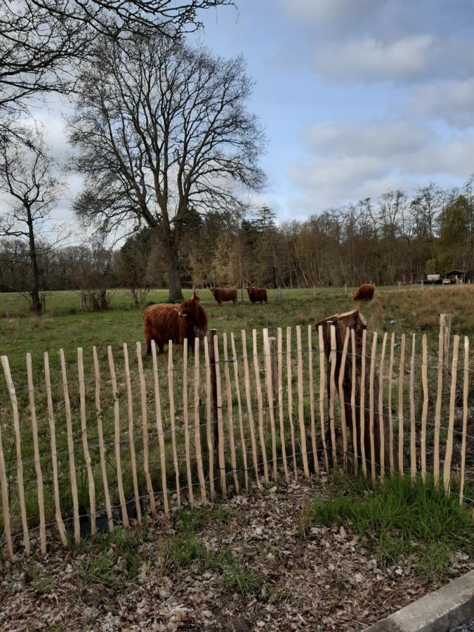 B & B Twijfelveld Assen Eksteriør billede