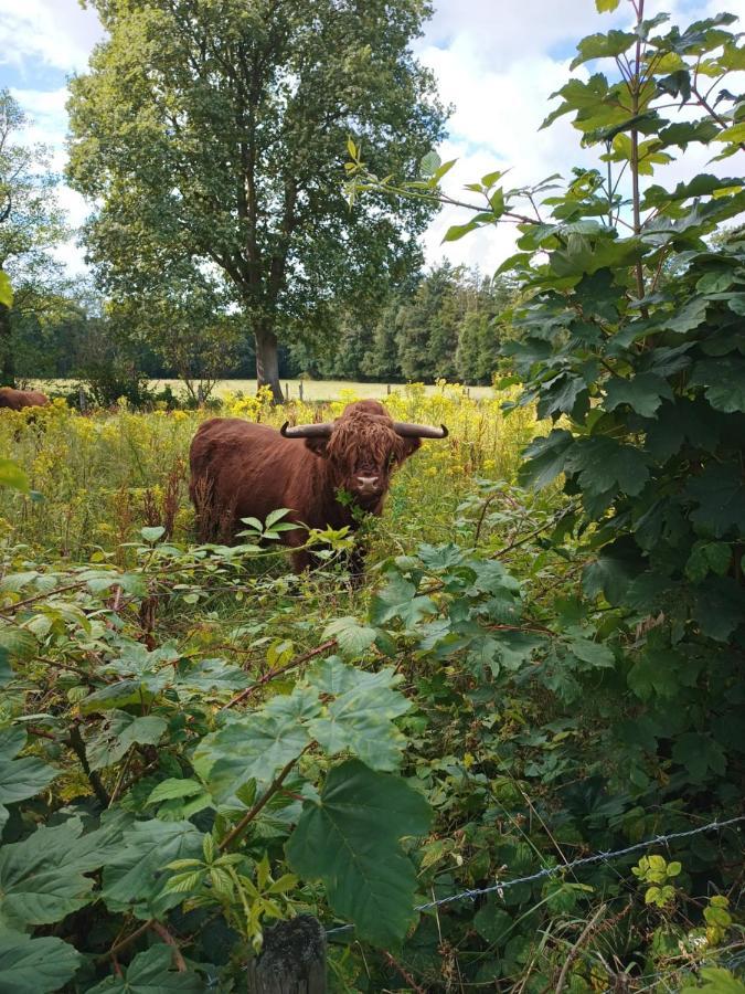 B & B Twijfelveld Assen Eksteriør billede